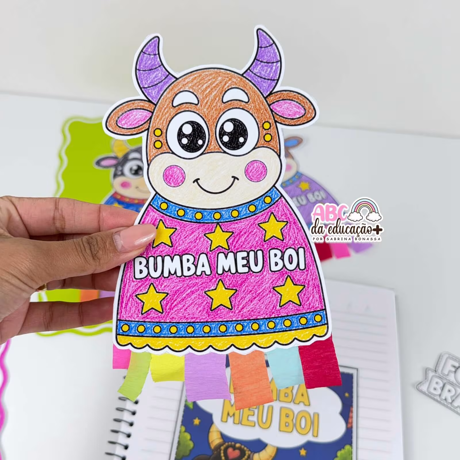 Projeto Bumba Meu Boi - Folclore Brasileiro - Imagem 14
