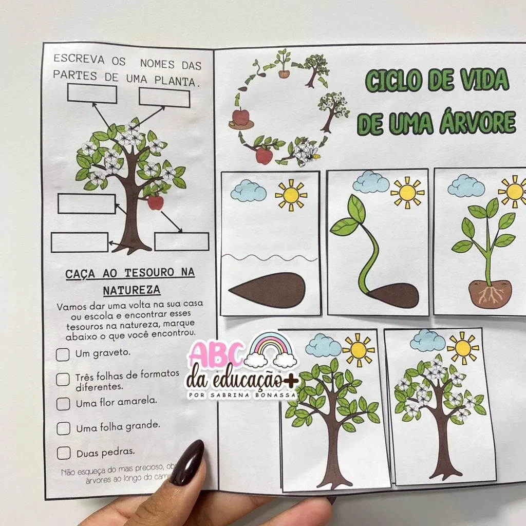 Lapbook- Dia da Árvore - Image 4
