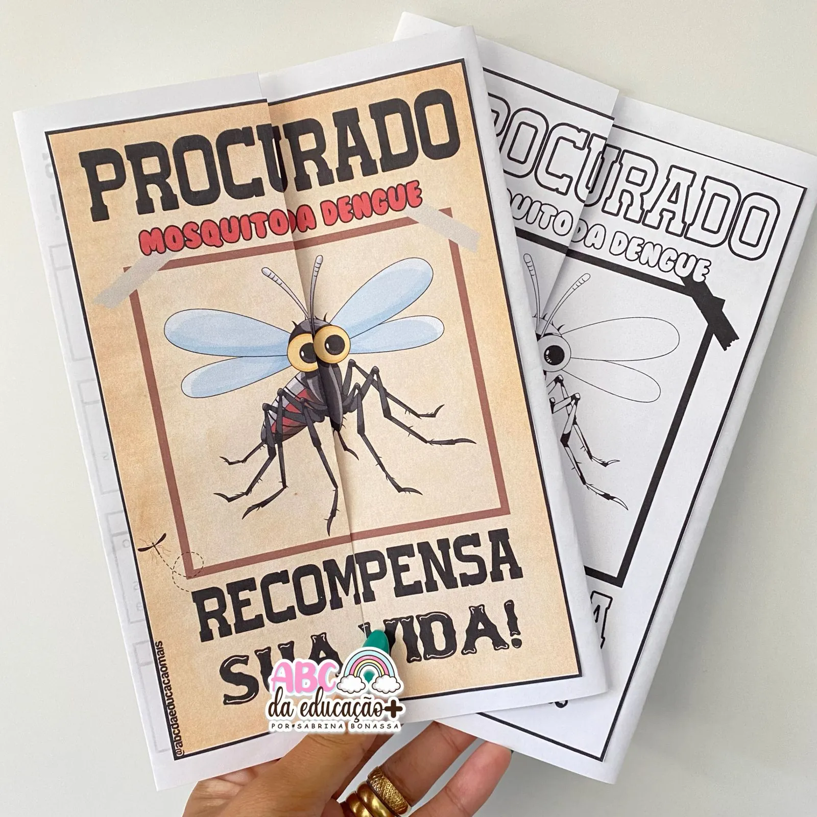 Lapbook Informativo sobre a Dengue - Imagem 7