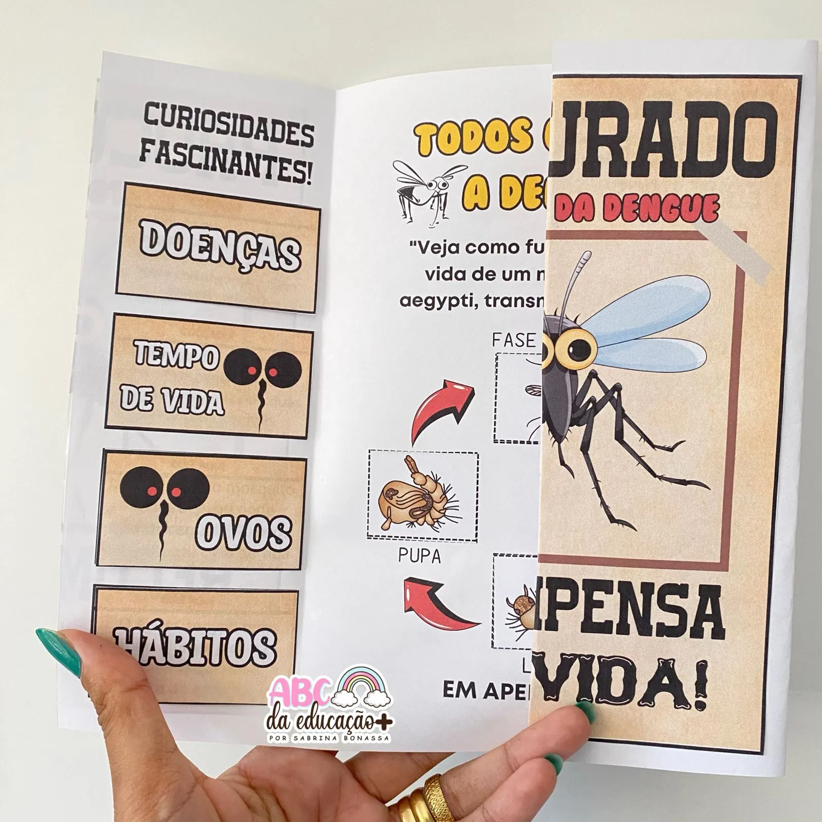 Lapbook Informativo sobre a Dengue - Imagem 2