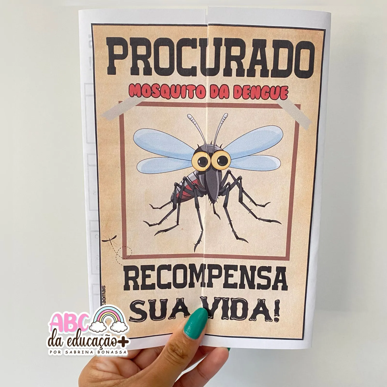 Lapbook Informativo sobre a Dengue - Imagem 9