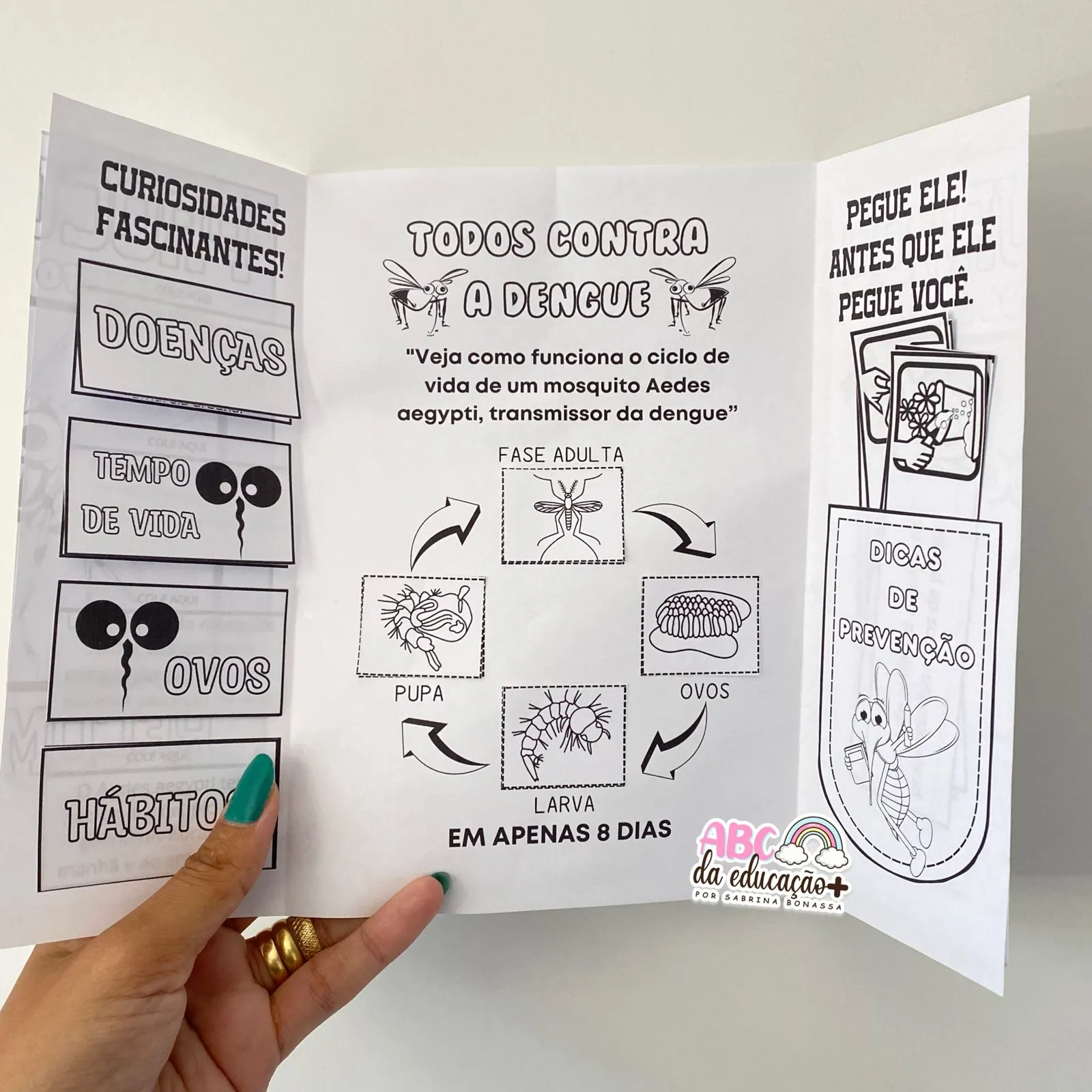 Lapbook Informativo sobre a Dengue - Imagem 3