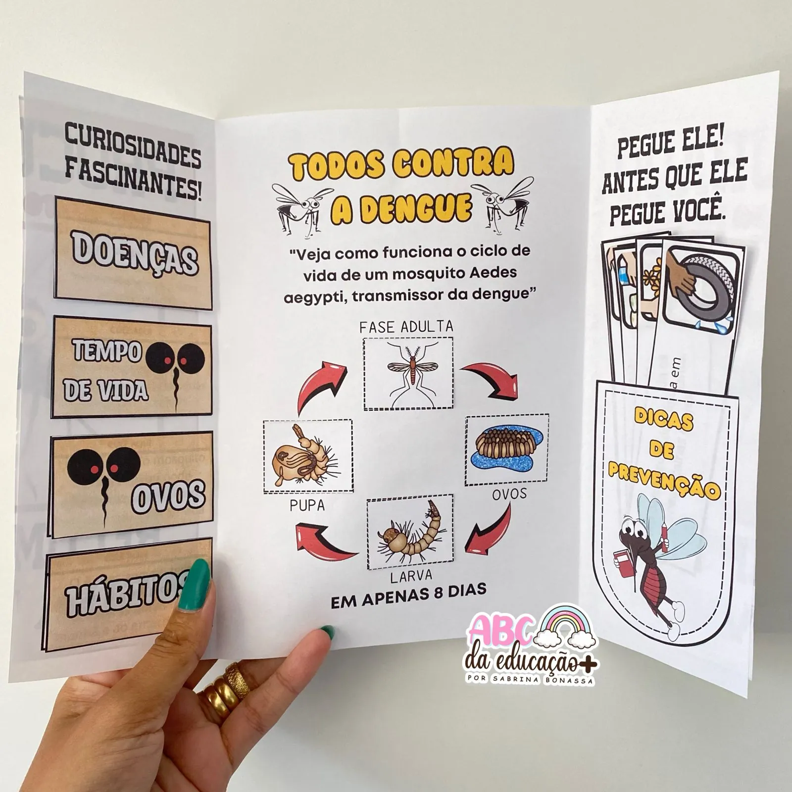 Lapbook Informativo sobre a Dengue - Imagem 5