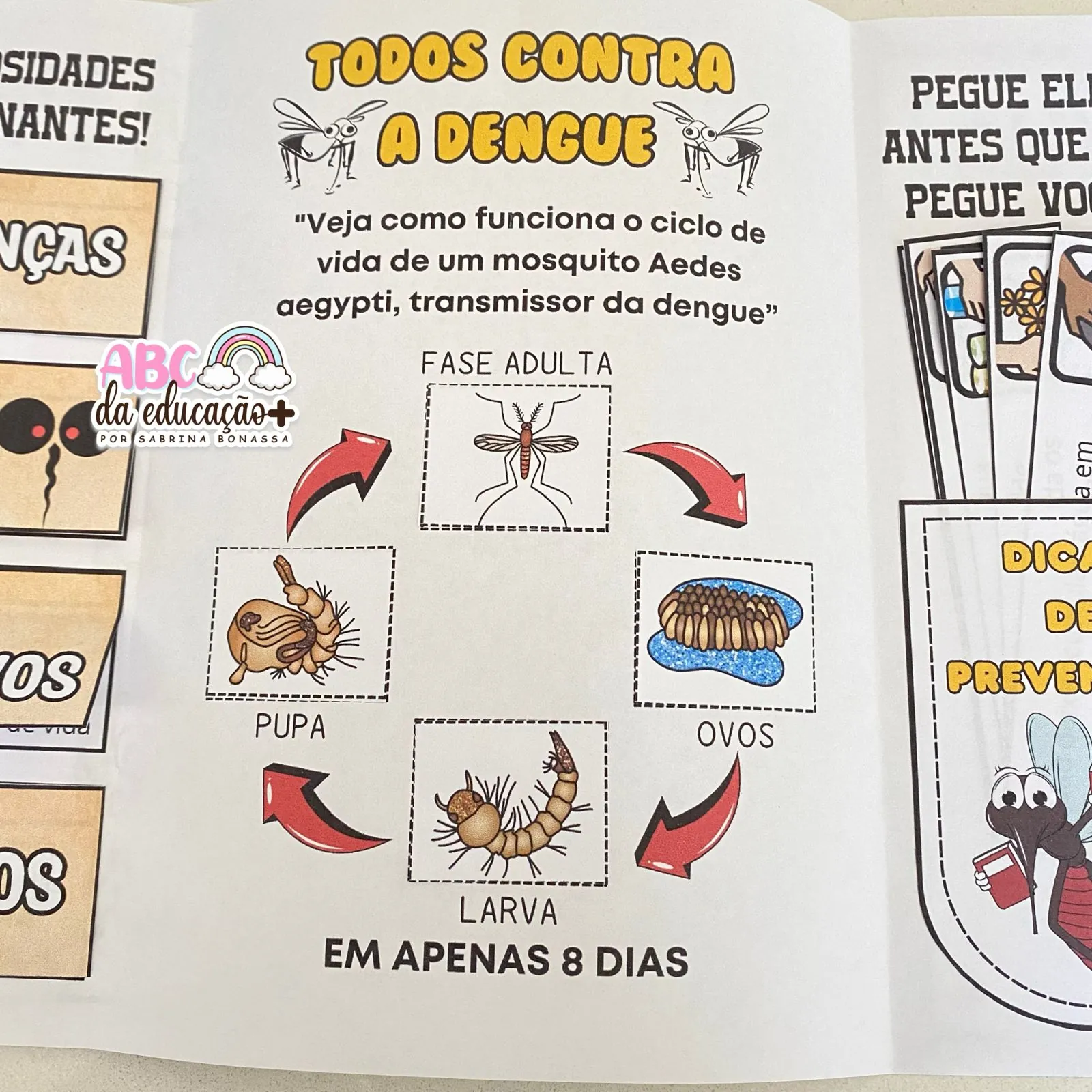 Lapbook Informativo sobre a Dengue - Imagem 6