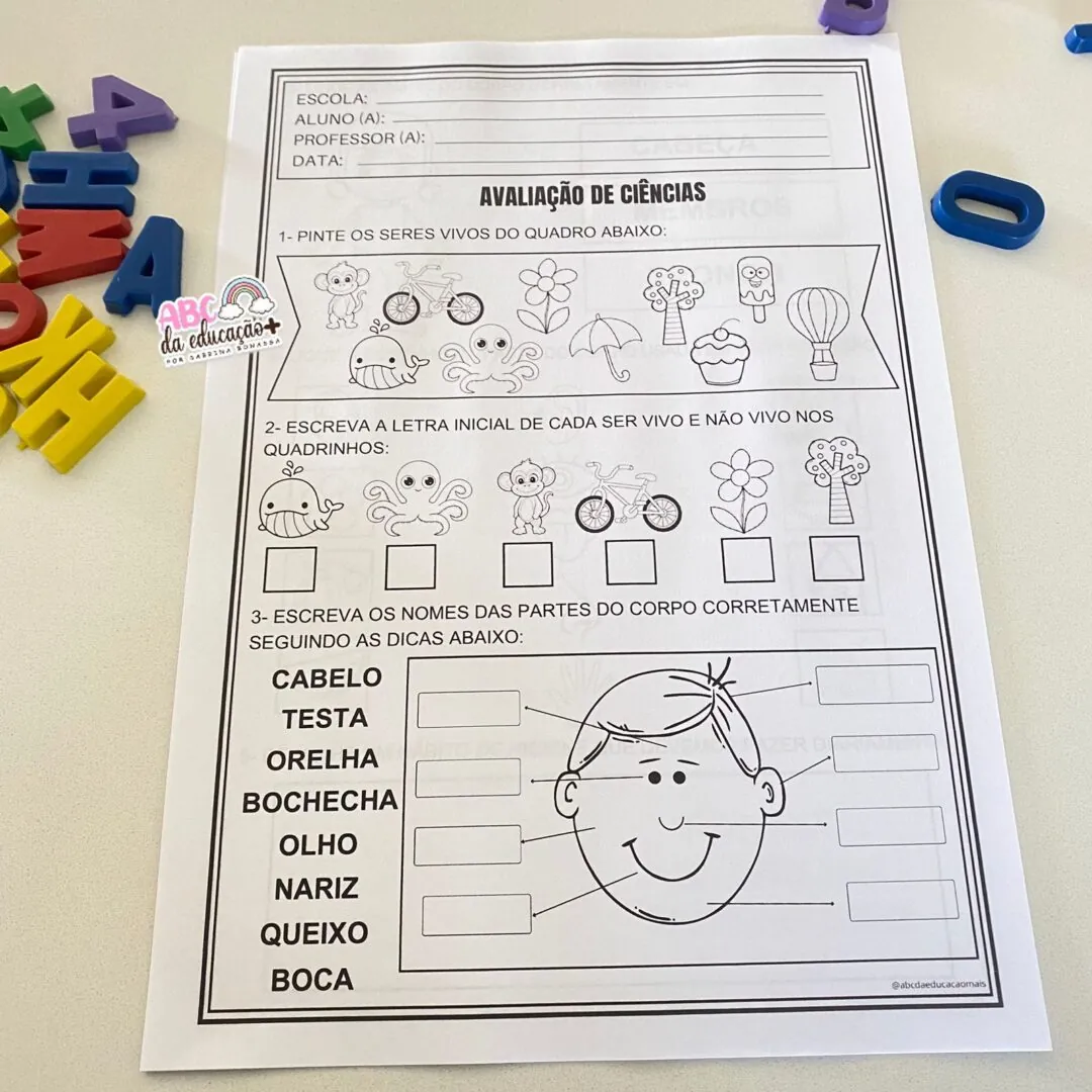 Kit Avaliações 1º ano – 1º bimestre – Cabeçalho Editável - Image 9