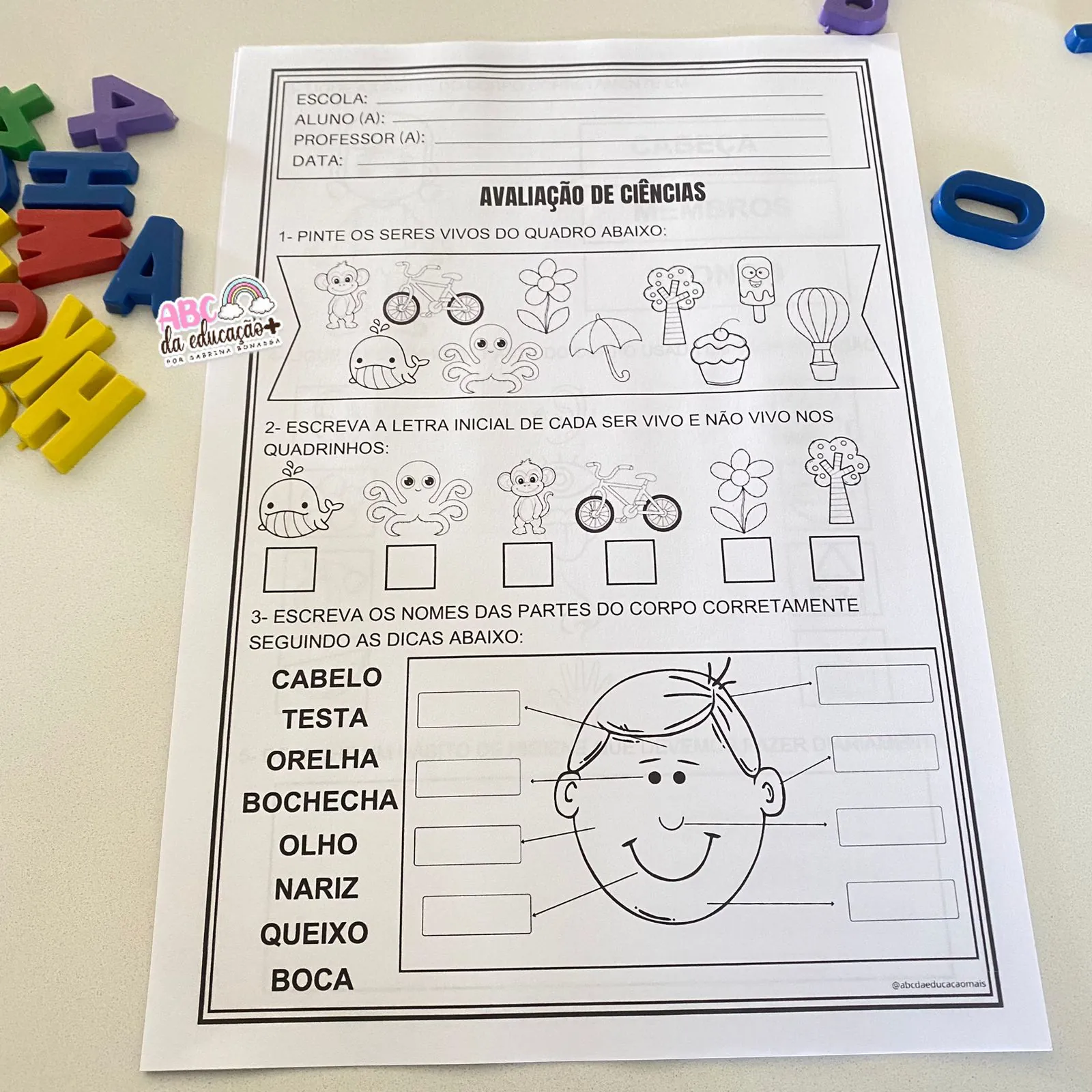 Kit Avaliações 1º ano – 1º bimestre – Cabeçalho Editável - Imagem 9