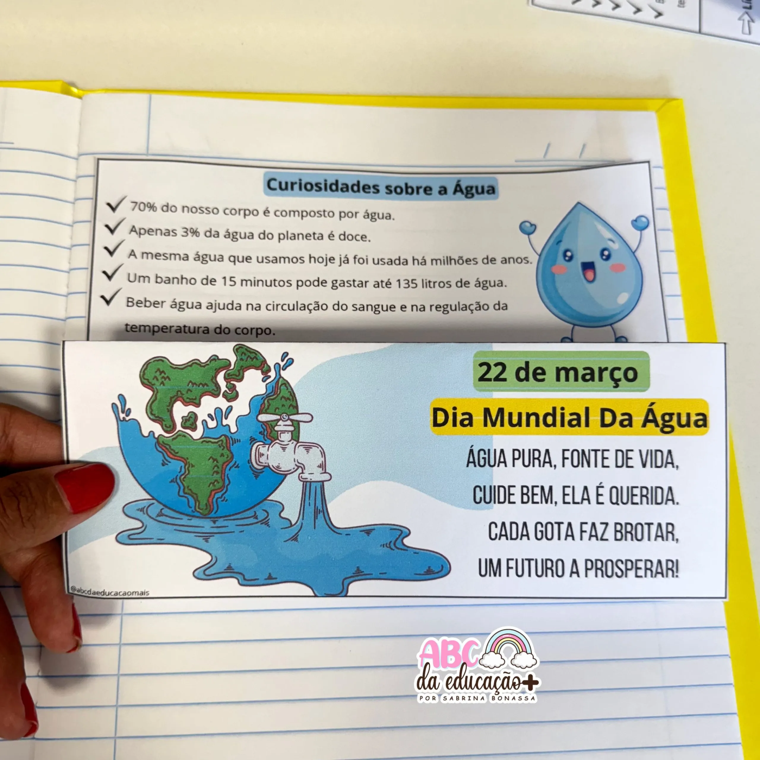 Kit Dia Mundial da Água: Painel Banner Decorativo, Atividade Informativa e Plano de Aula - Imagem 10