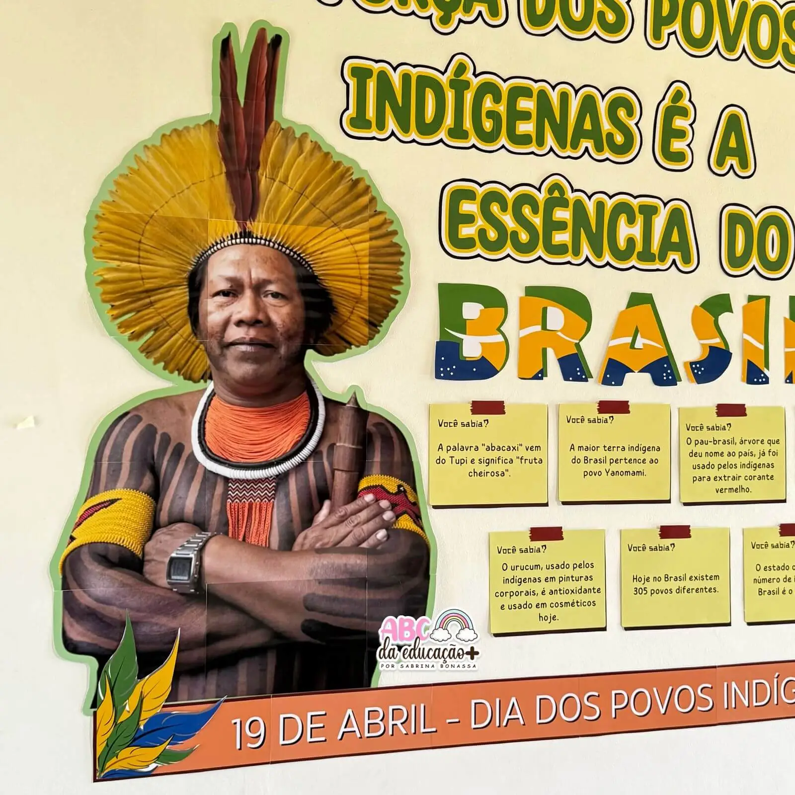 Painel Informativo Povos Indígenas - Imagem 4