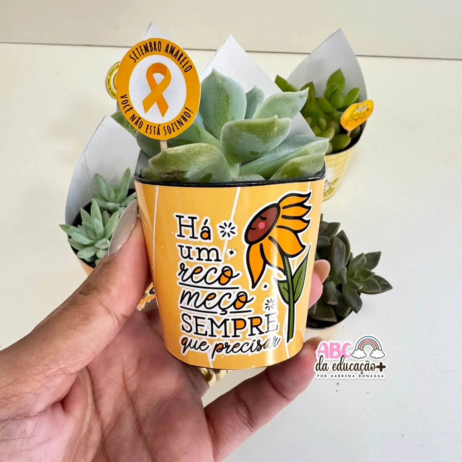 Lembrancinha Setembro Amarelo – Suculentas 10 modelos - Imagem 8