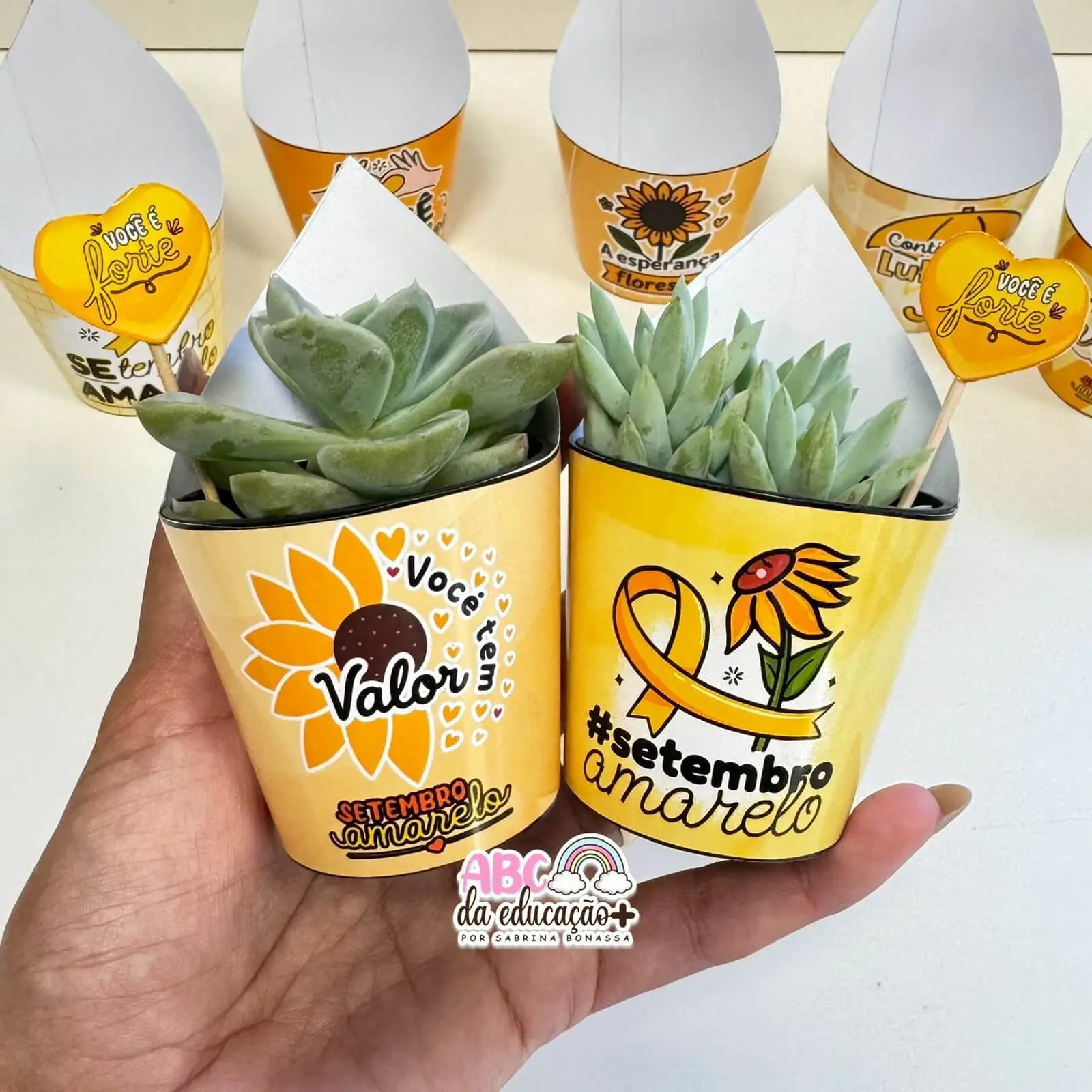 Lembrancinha Setembro Amarelo – Suculentas 10 modelos