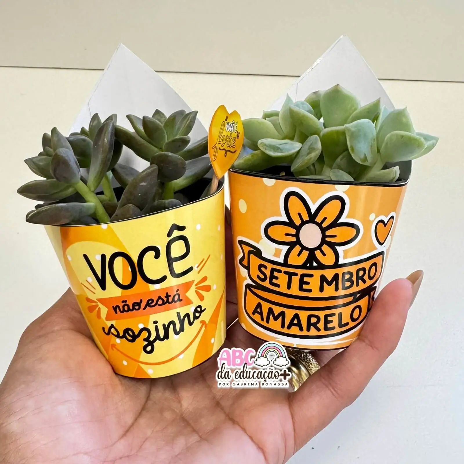 Lembrancinha Setembro Amarelo – Suculentas 10 modelos - Imagem 6