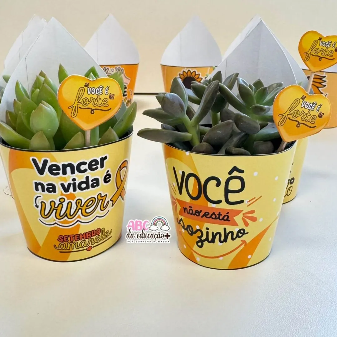 Lembrancinha Setembro Amarelo – Suculentas 10 modelos - Image 4
