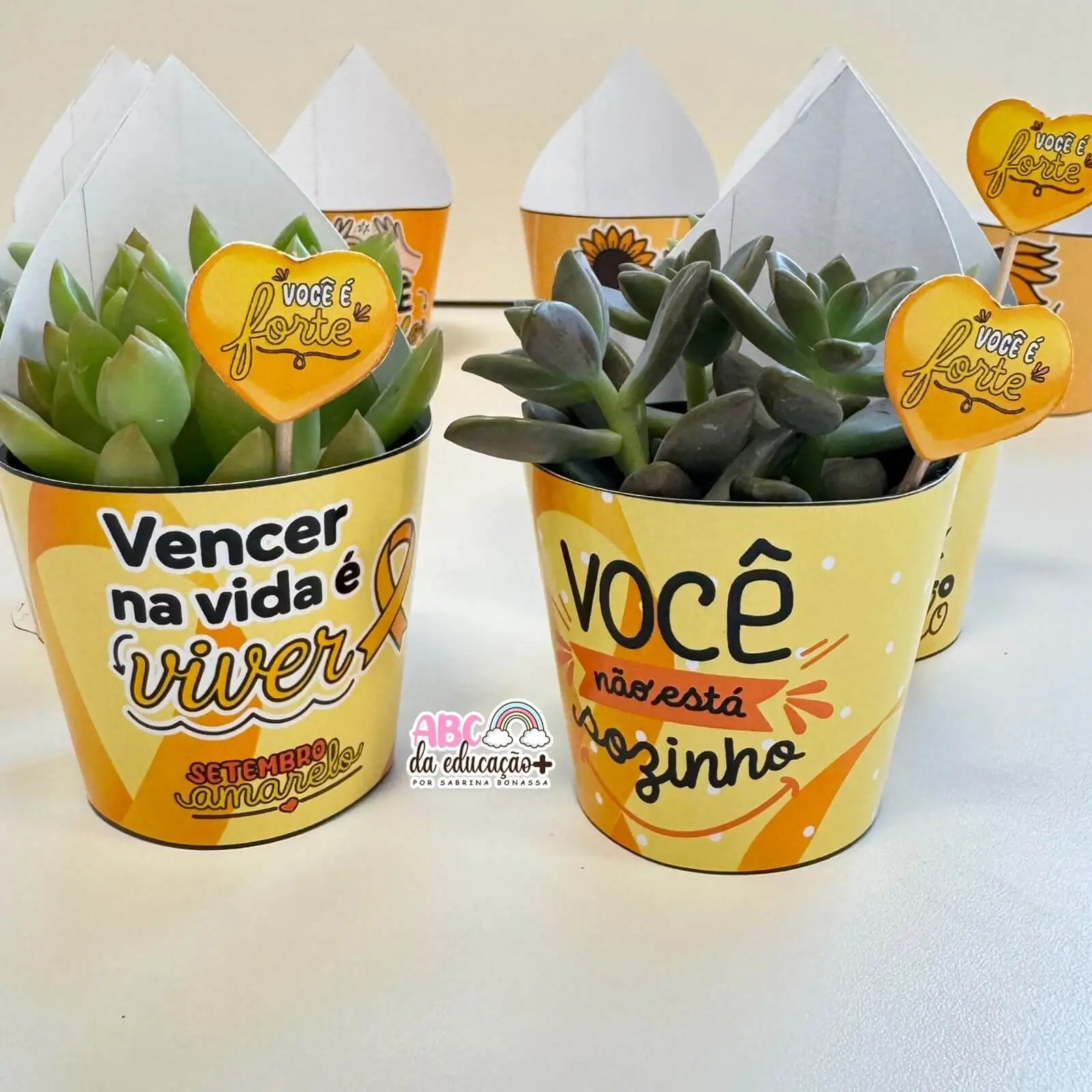 Lembrancinha Setembro Amarelo – Suculentas 10 modelos - Imagem 4