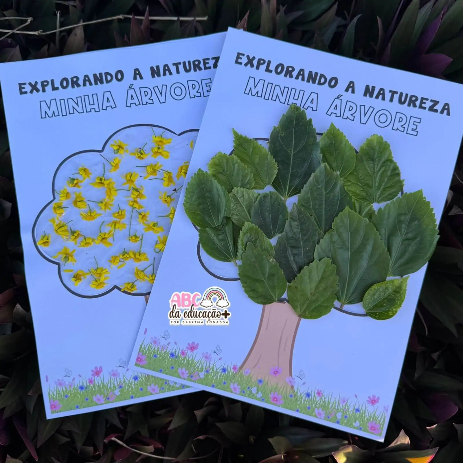 Atividade Interativa Dia da Árvore – Coleto, Colo e Crio - Imagem 7