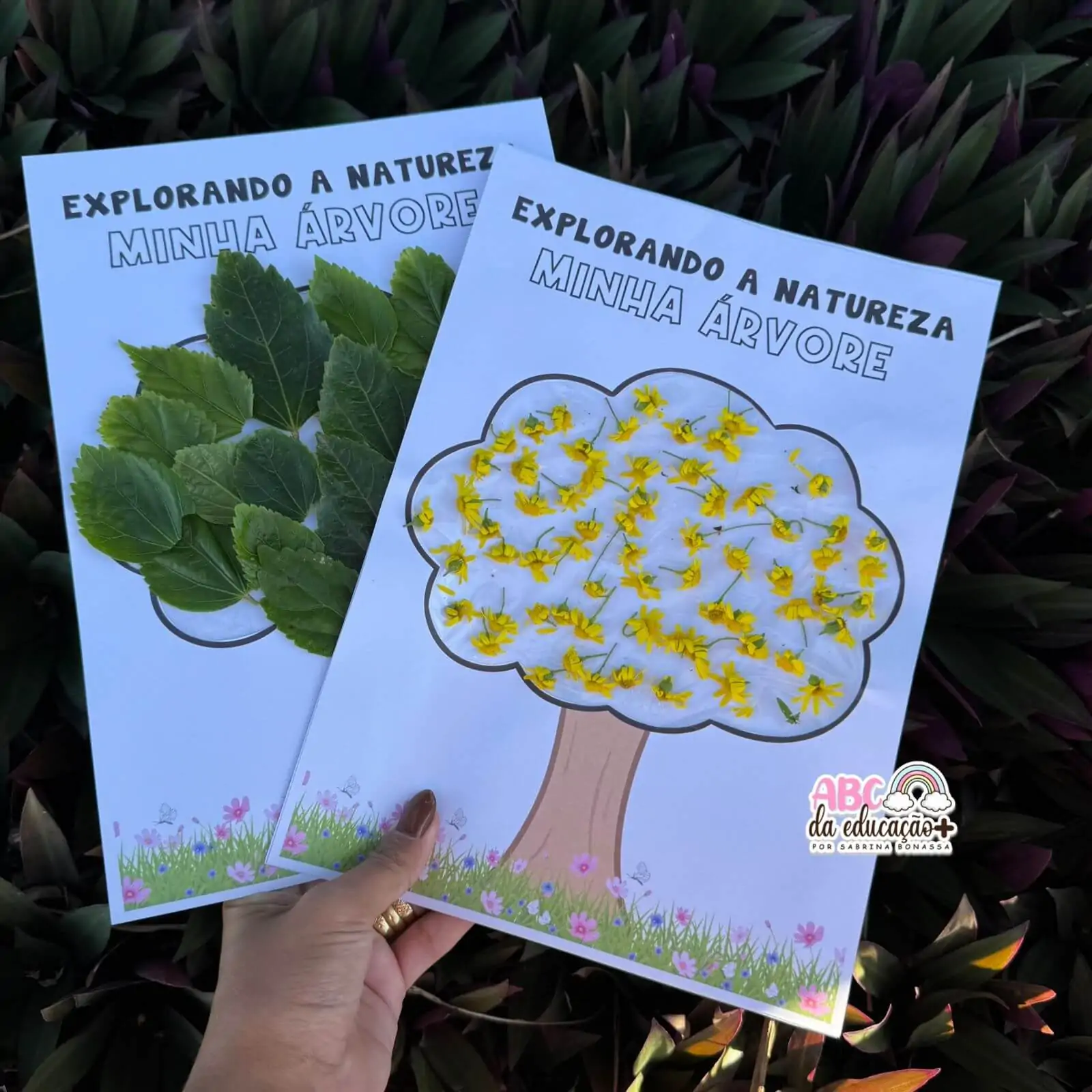 Atividade Interativa Dia da Árvore – Coleto, Colo e Crio - Imagem 6