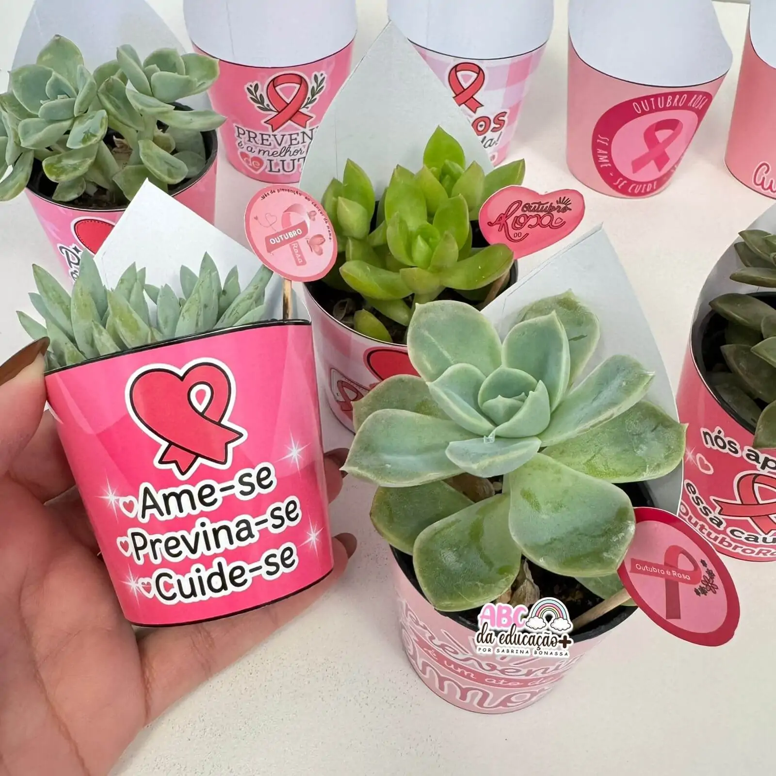 Lembrancinha Outubro Rosa – Suculentas 10 modelos - Imagem 6