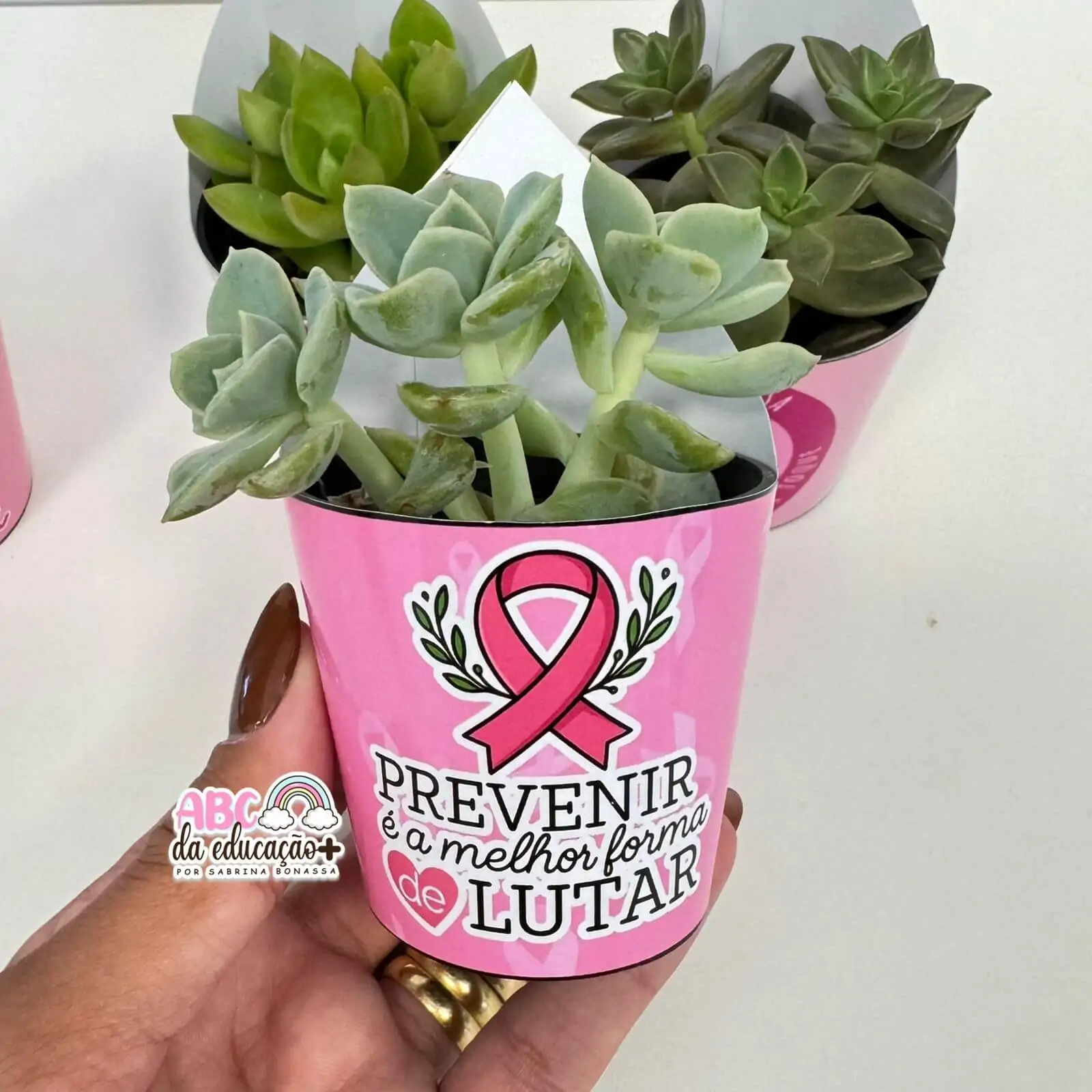 Lembrancinha Outubro Rosa – Suculentas 10 modelos - Imagem 5