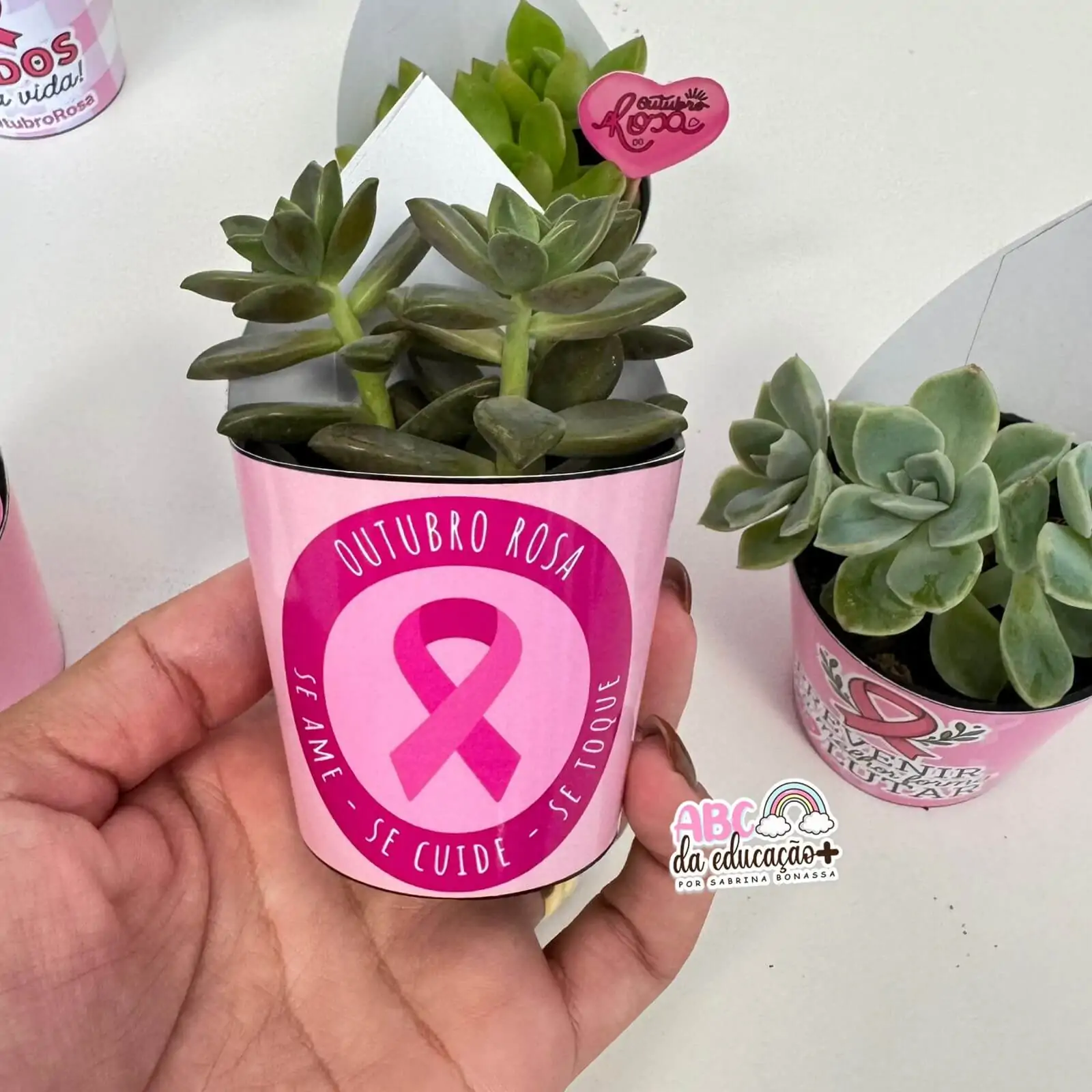 Lembrancinha Outubro Rosa – Suculentas 10 modelos - Imagem 4