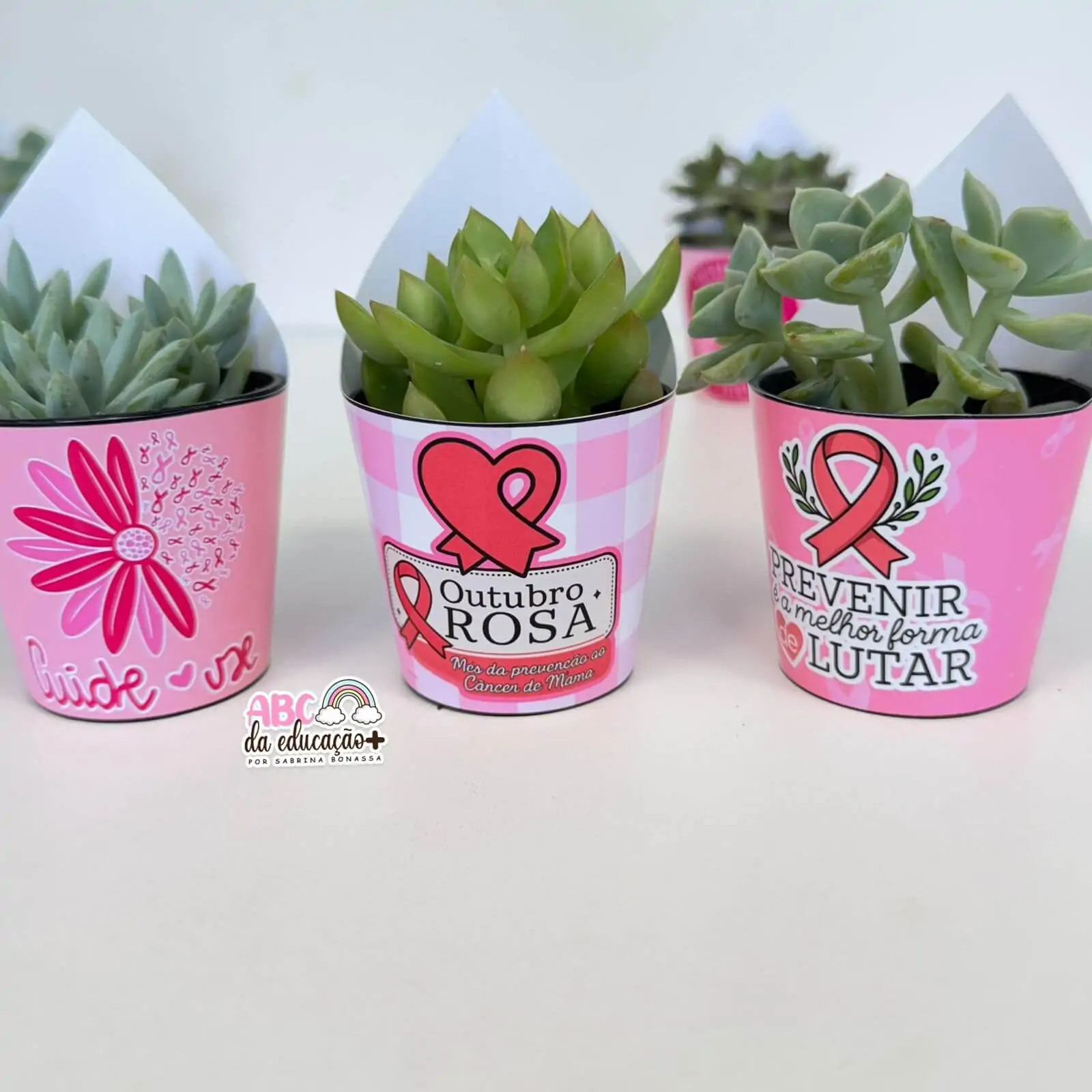 Lembrancinha Outubro Rosa – Suculentas 10 modelos - Imagem 3