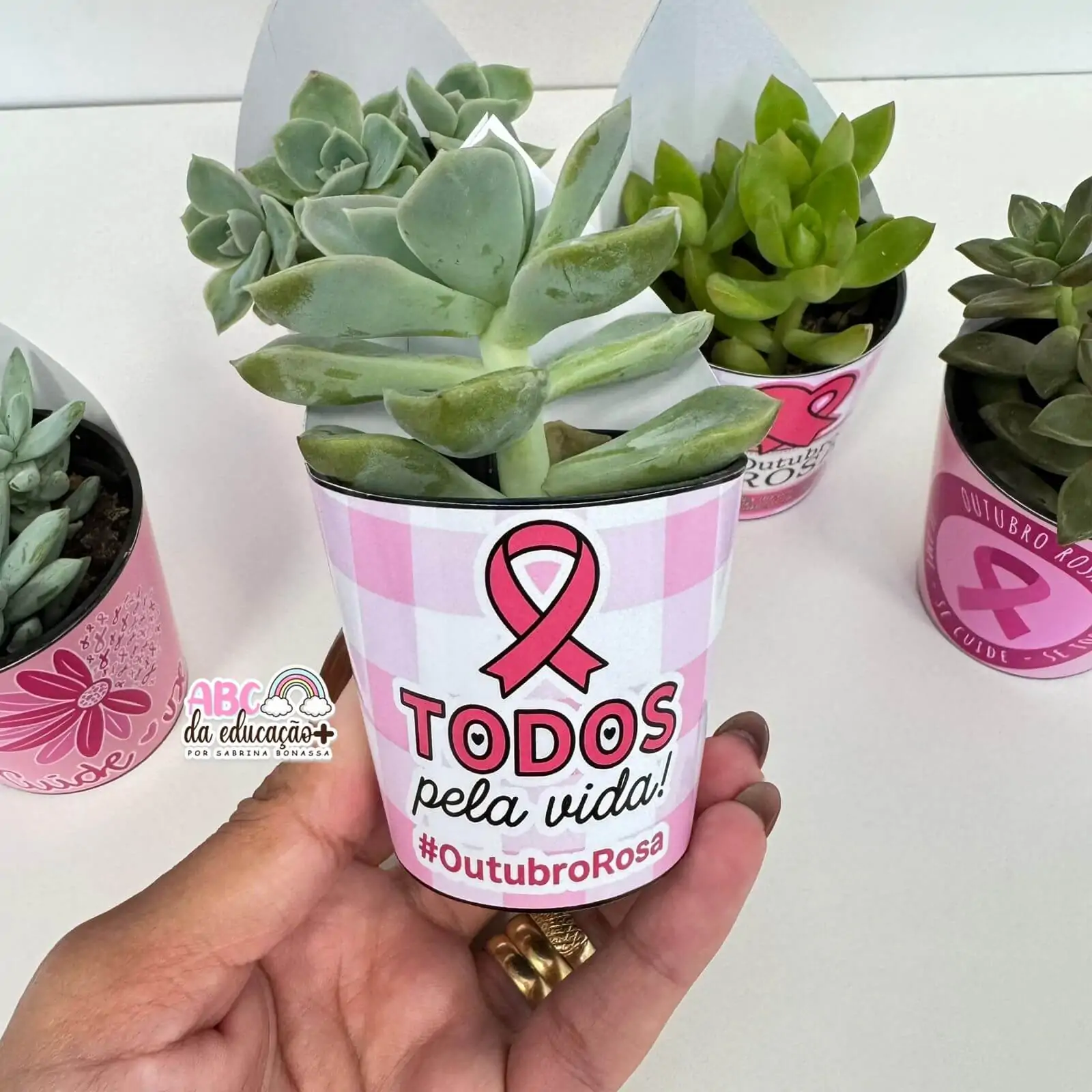Lembrancinha Outubro Rosa – Suculentas 10 modelos - Imagem 2
