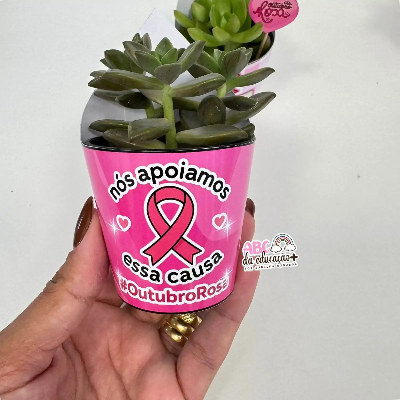 Lembrancinha Outubro Rosa – Suculentas 10 modelos - Imagem 9