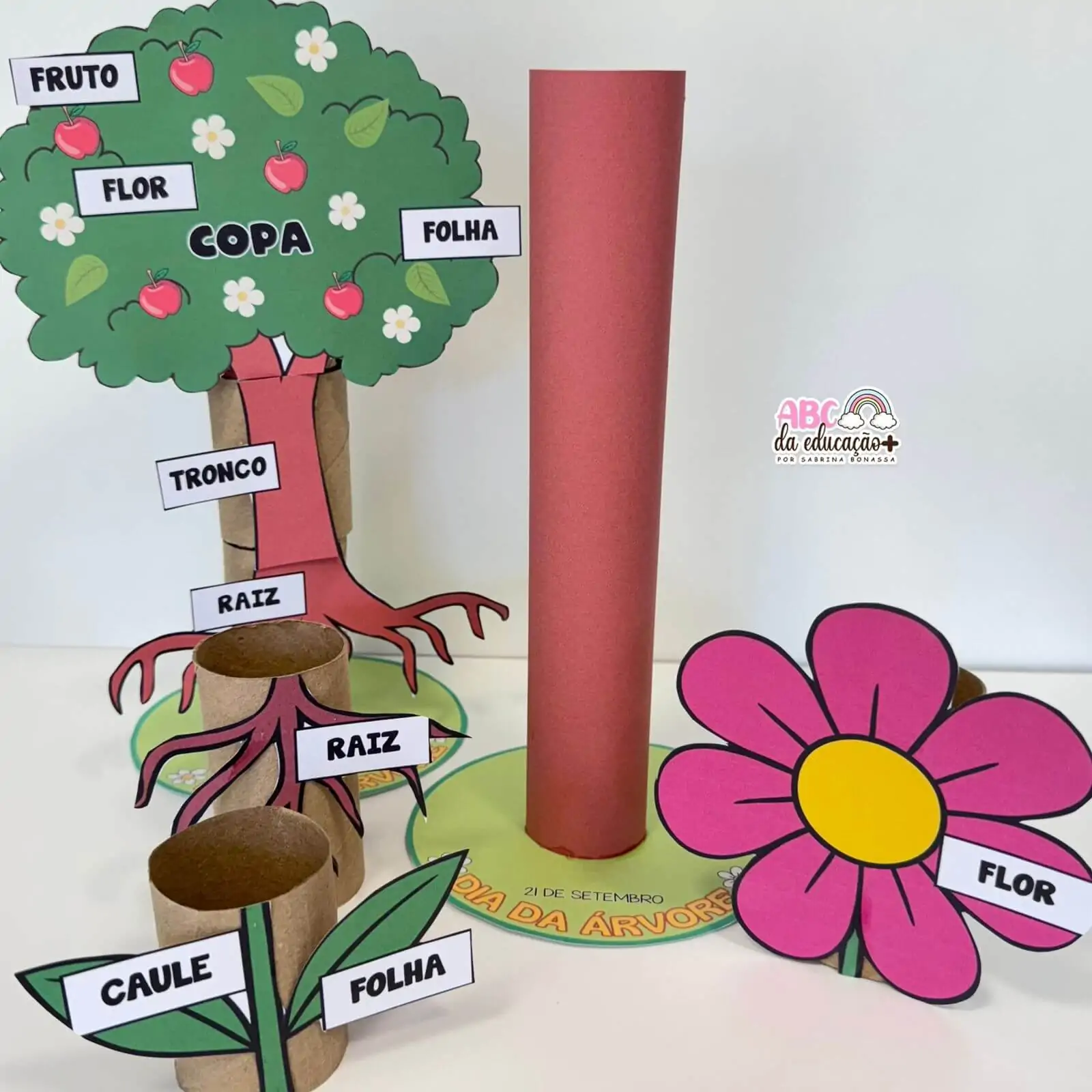 Partes da Planta e da Flor – Atividade com rolinhos - Imagem 5