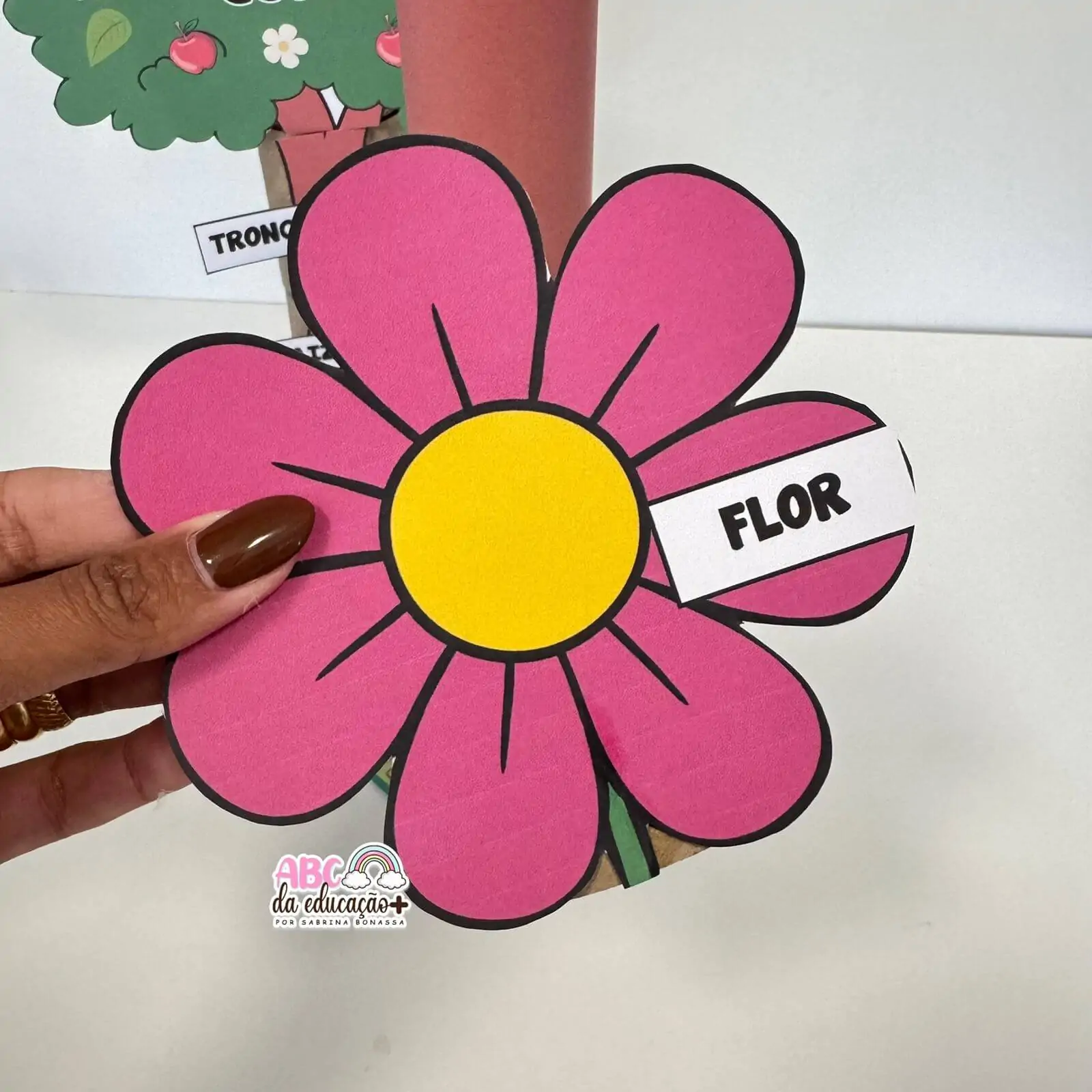Partes da Planta e da Flor – Atividade com rolinhos - Imagem 4
