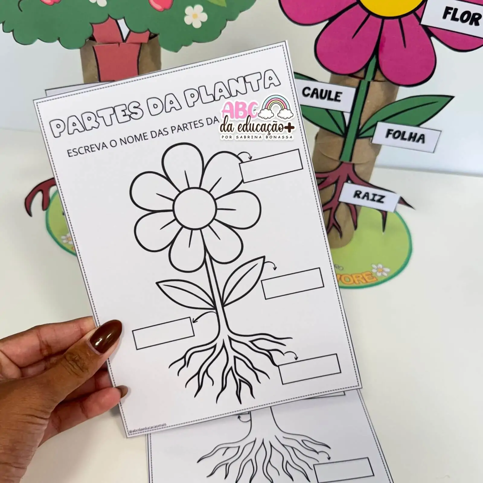 Partes da Planta e da Flor – Atividade com rolinhos - Imagem 9