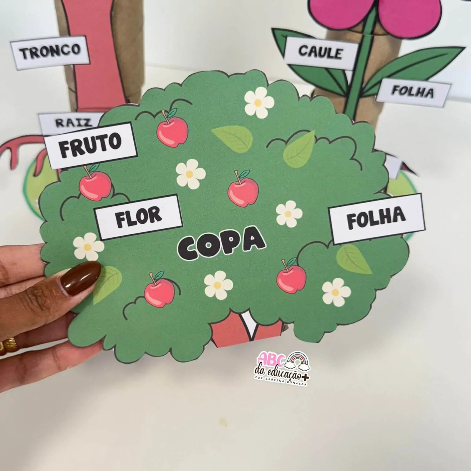 Partes da Planta e da Flor – Atividade com rolinhos - Imagem 7