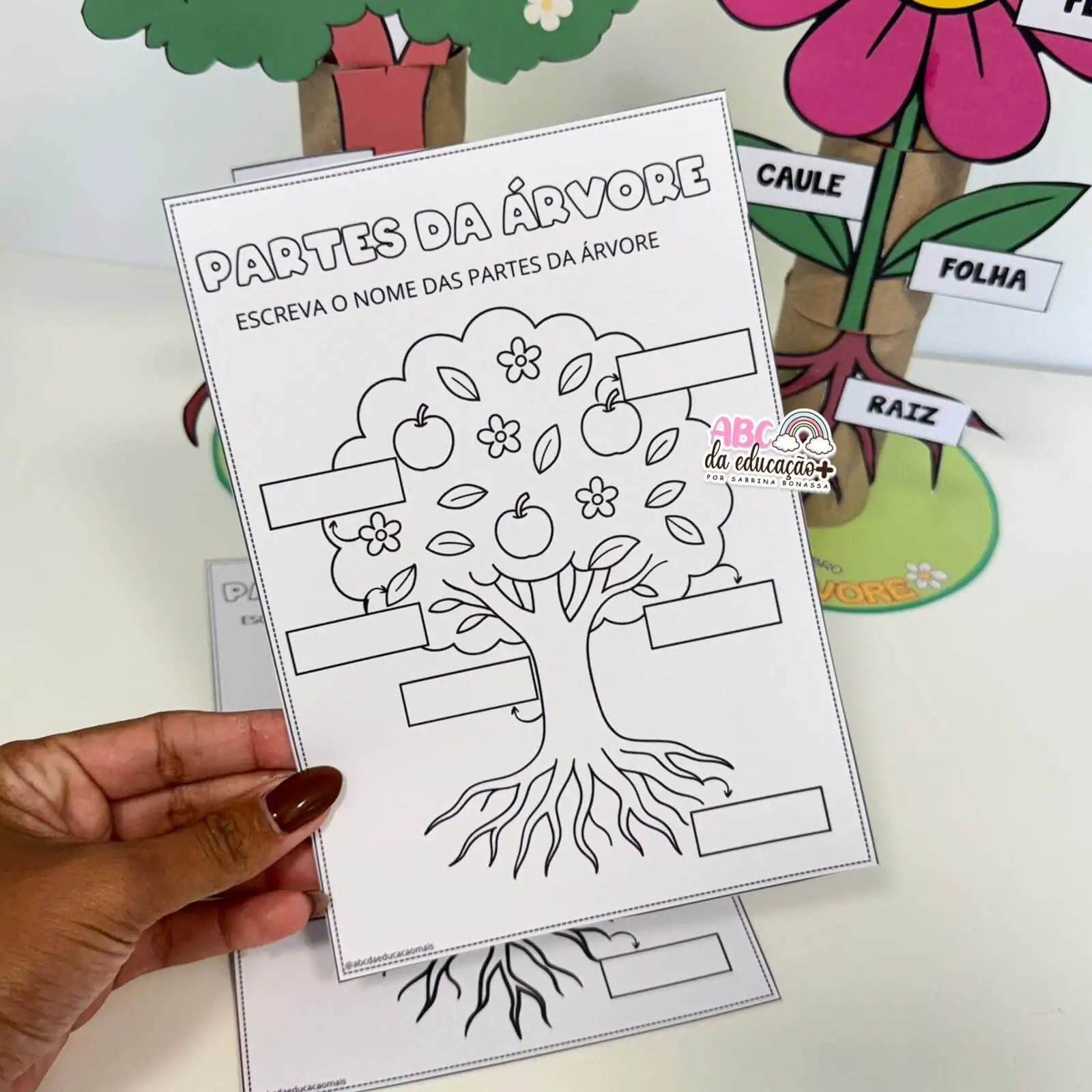 Partes da Planta e da Flor – Atividade com rolinhos - Imagem 8